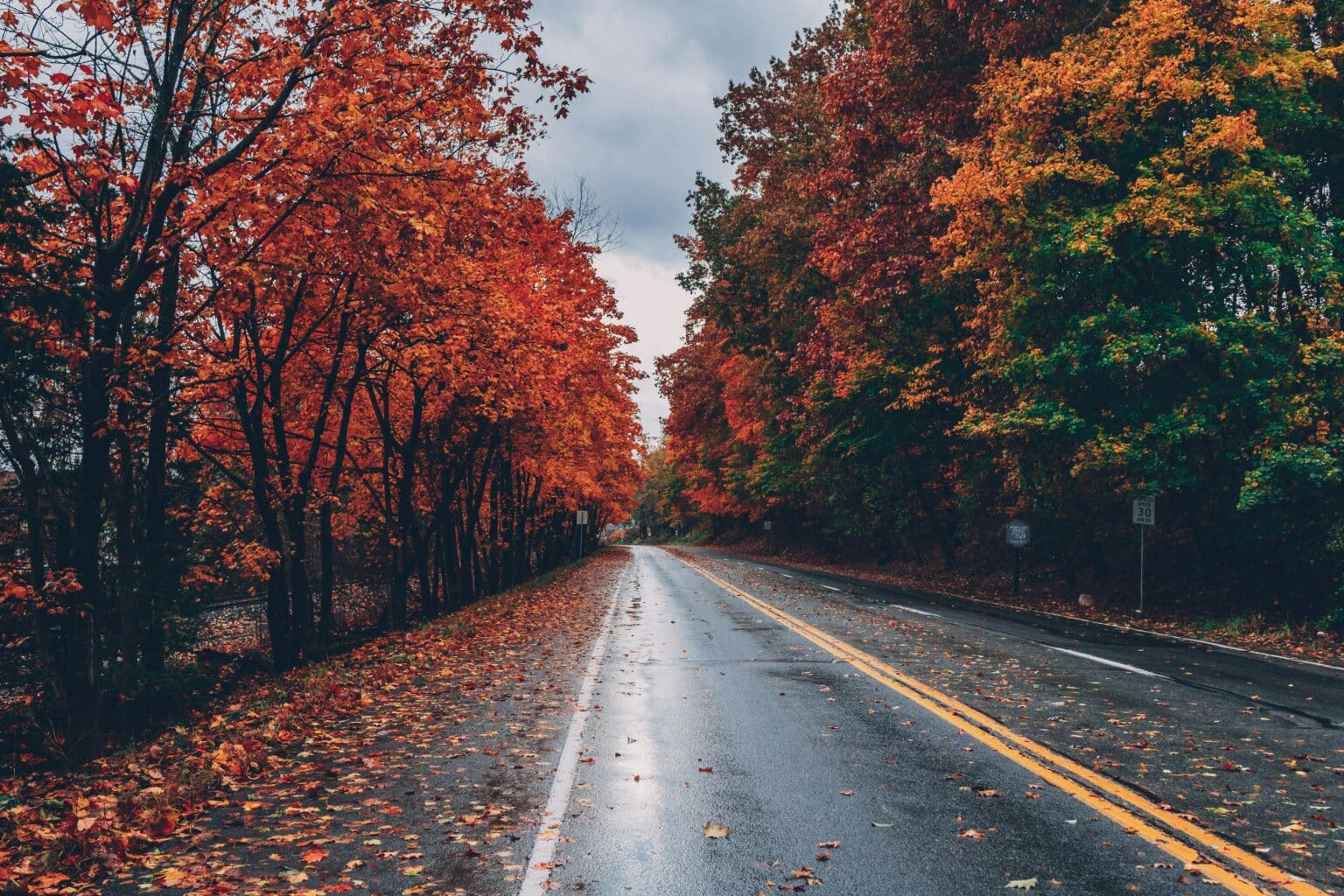 Autumn day on the road with red leaves on trees and rain.